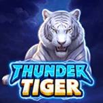 Thunder Tiger Thunder Tiger